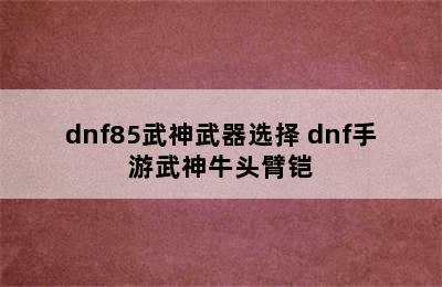 dnf85武神武器选择 dnf手游武神牛头臂铠